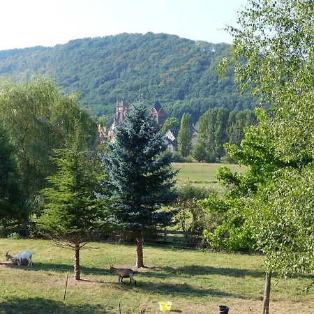 Domaene Mit Terrasse- Grill Und Garten By Interhome * Neuwiller-lès-Saverne